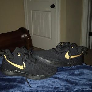Nike Lebron basketball shoes
